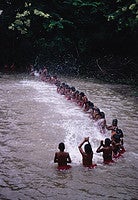 In preparation for the ear piercing ceremony that initiates them into adult society, Xavante boys spend weeks in the river hitting the water in a choreographed splashing display. Photo courtesy of Laura R. Graham.