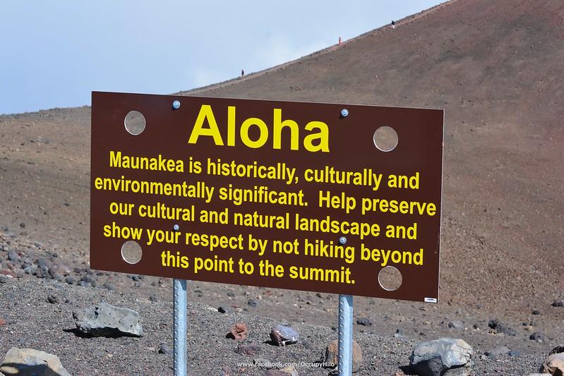 Mauna Kea Standing Strong and Holding the Line Cultural Survival