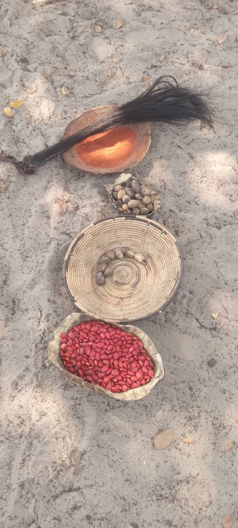 Community Empowerment for Cultural Tourism and Indigenous Language Strengthening in Namibia 