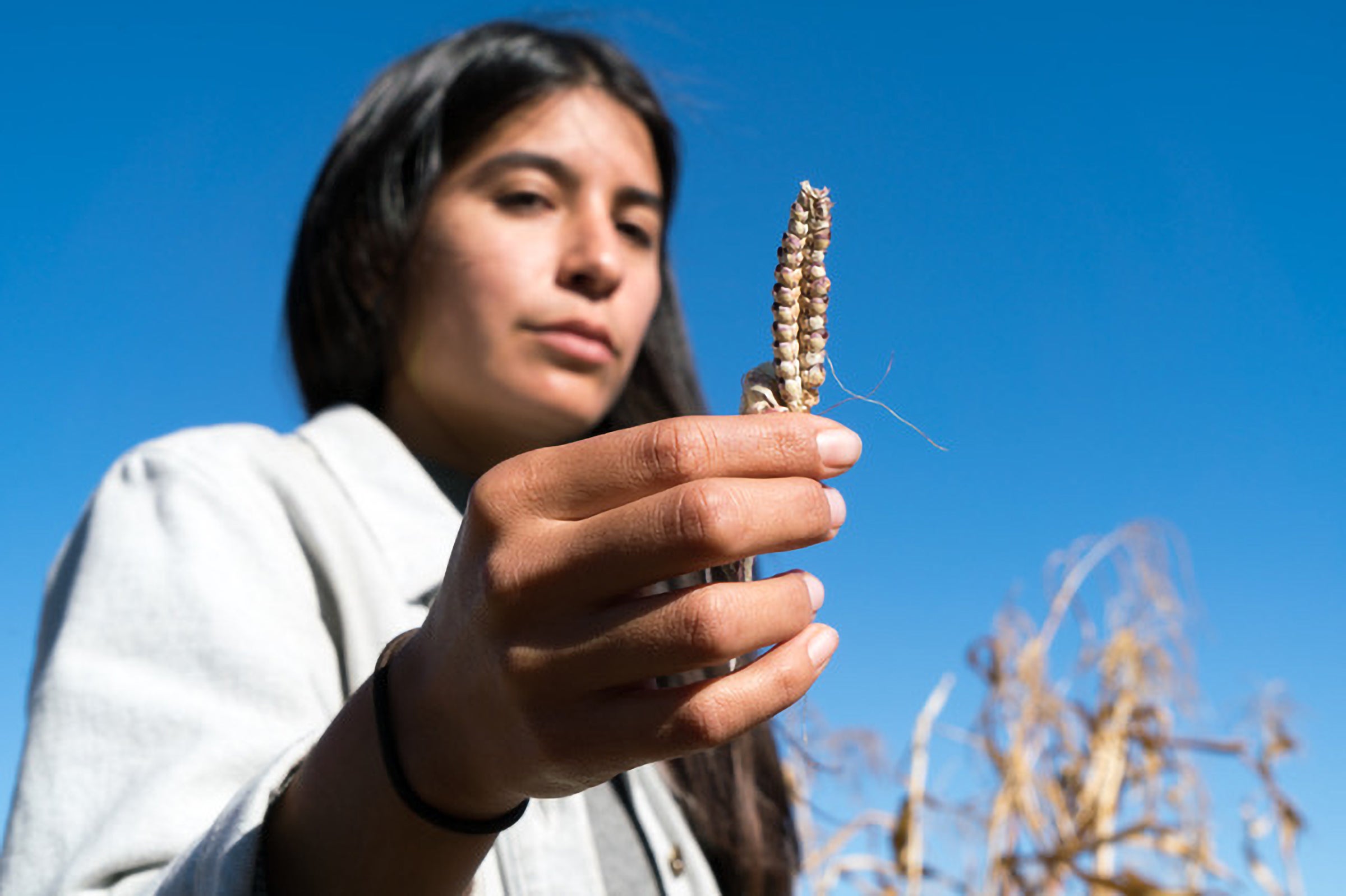 From Soil to Sky: Mending the Circle of Our Native Food Systems ...