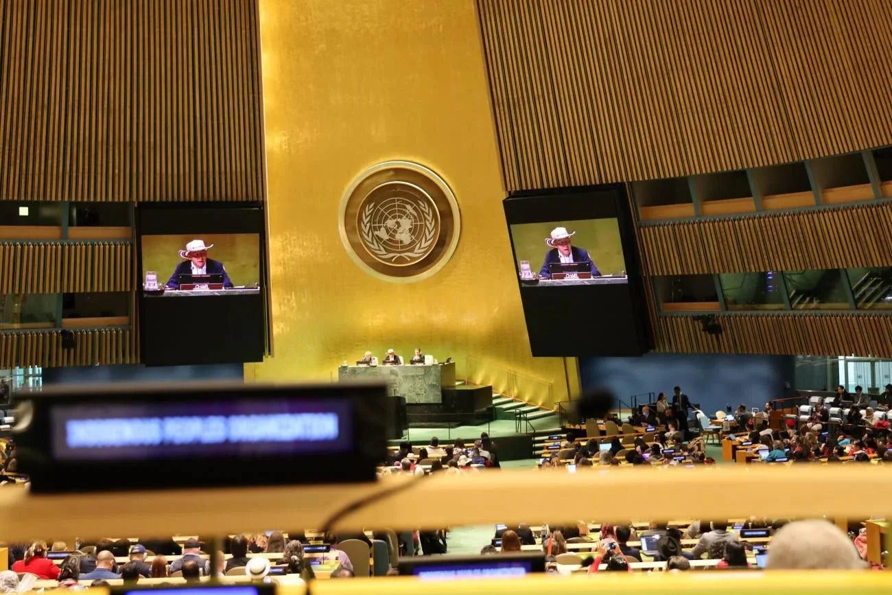 The 25th Session of the UN Permanent Forum on Indigenous Issues Starts April 20!!