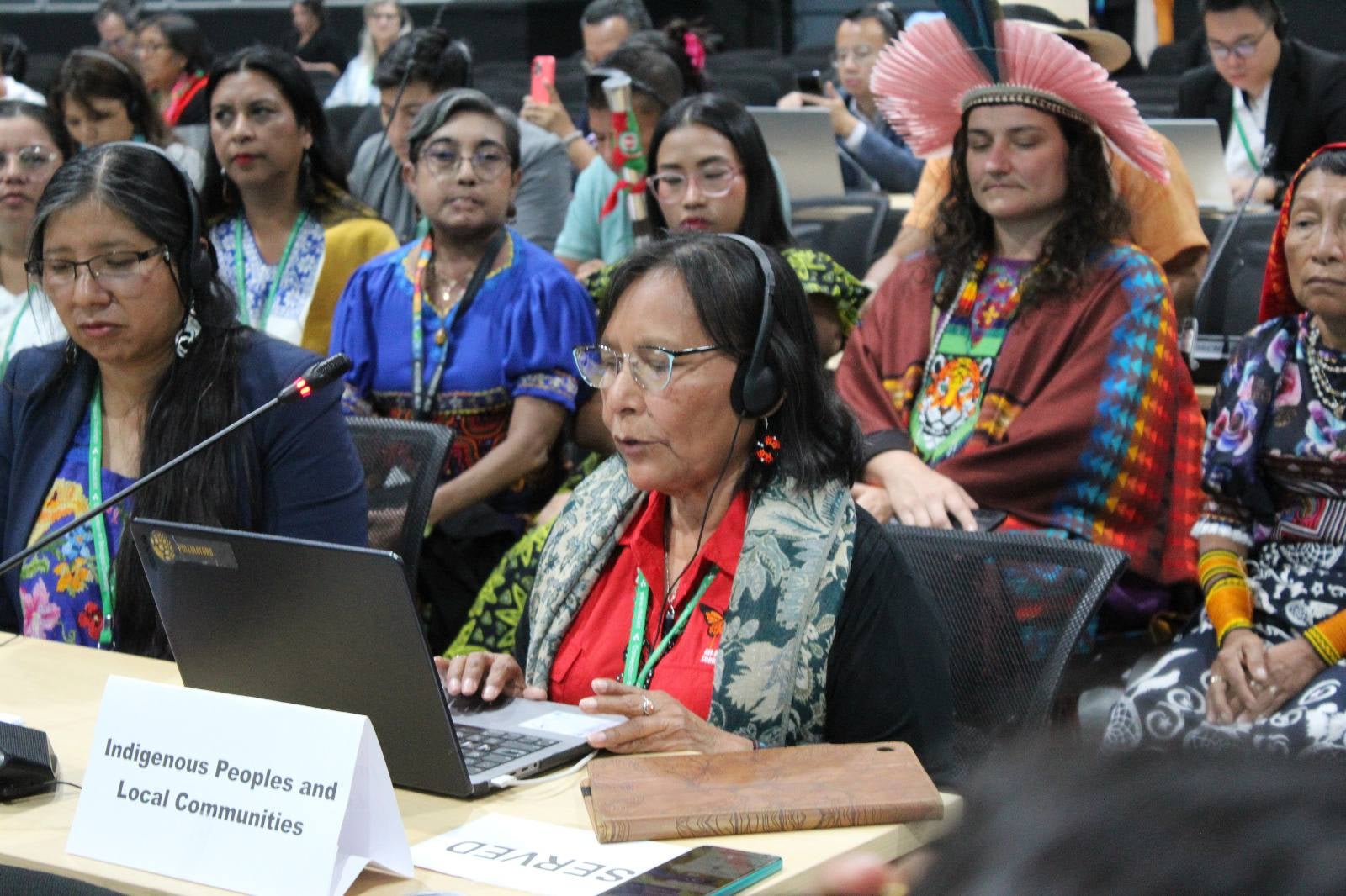 International Indigenous Forum on Biodiversity Statement at Subsidiary Body on Article 8(j) of the Convention on Biological Diversity