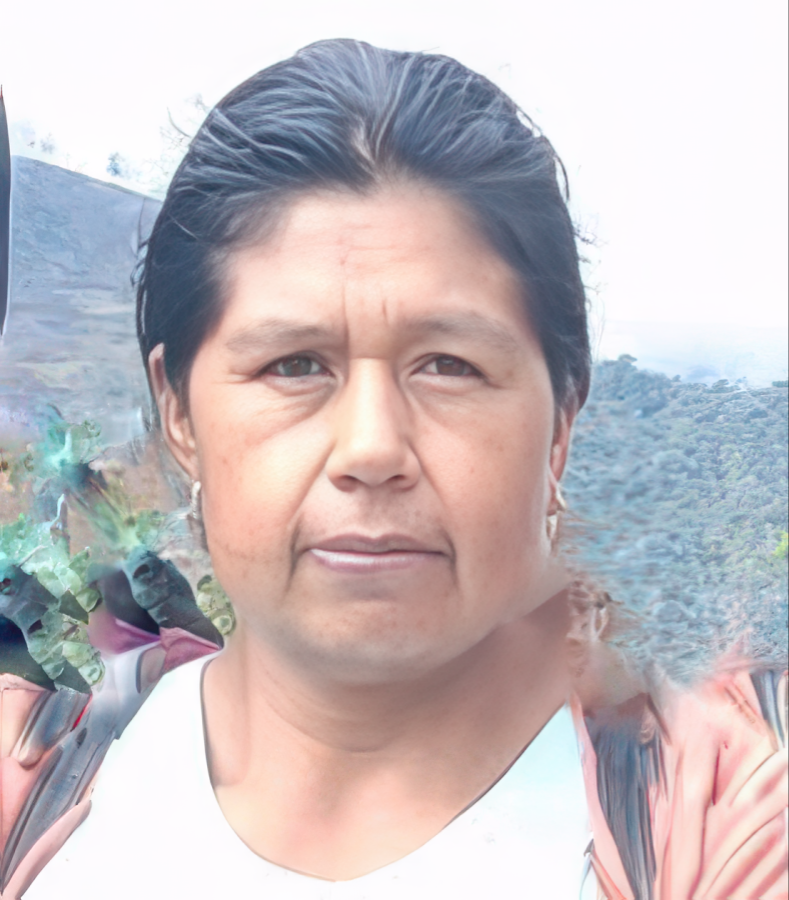 Aída Damaris Flor Camayo