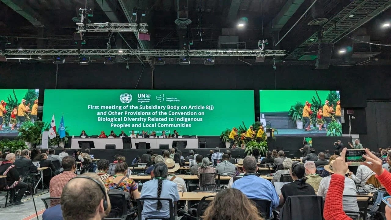 A Historic Step for Indigenous Peoples: The First Meeting of the Subsidiary Body on Article 8(j)