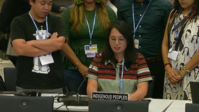 Closing Statement of the International Indigenous Peoples' Forum on