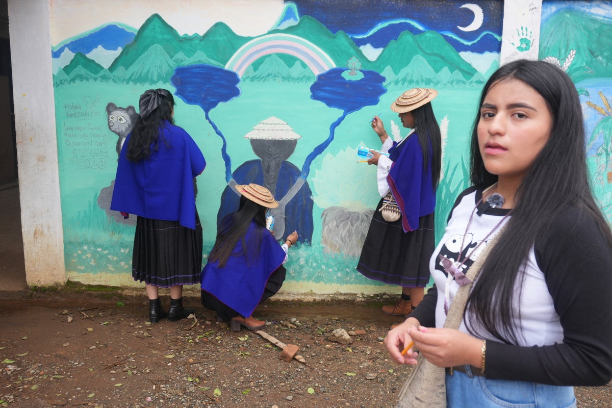 Misak Women’s Collective - Movement of Indigenous Authorities of Southwestern Colombia (AISO)