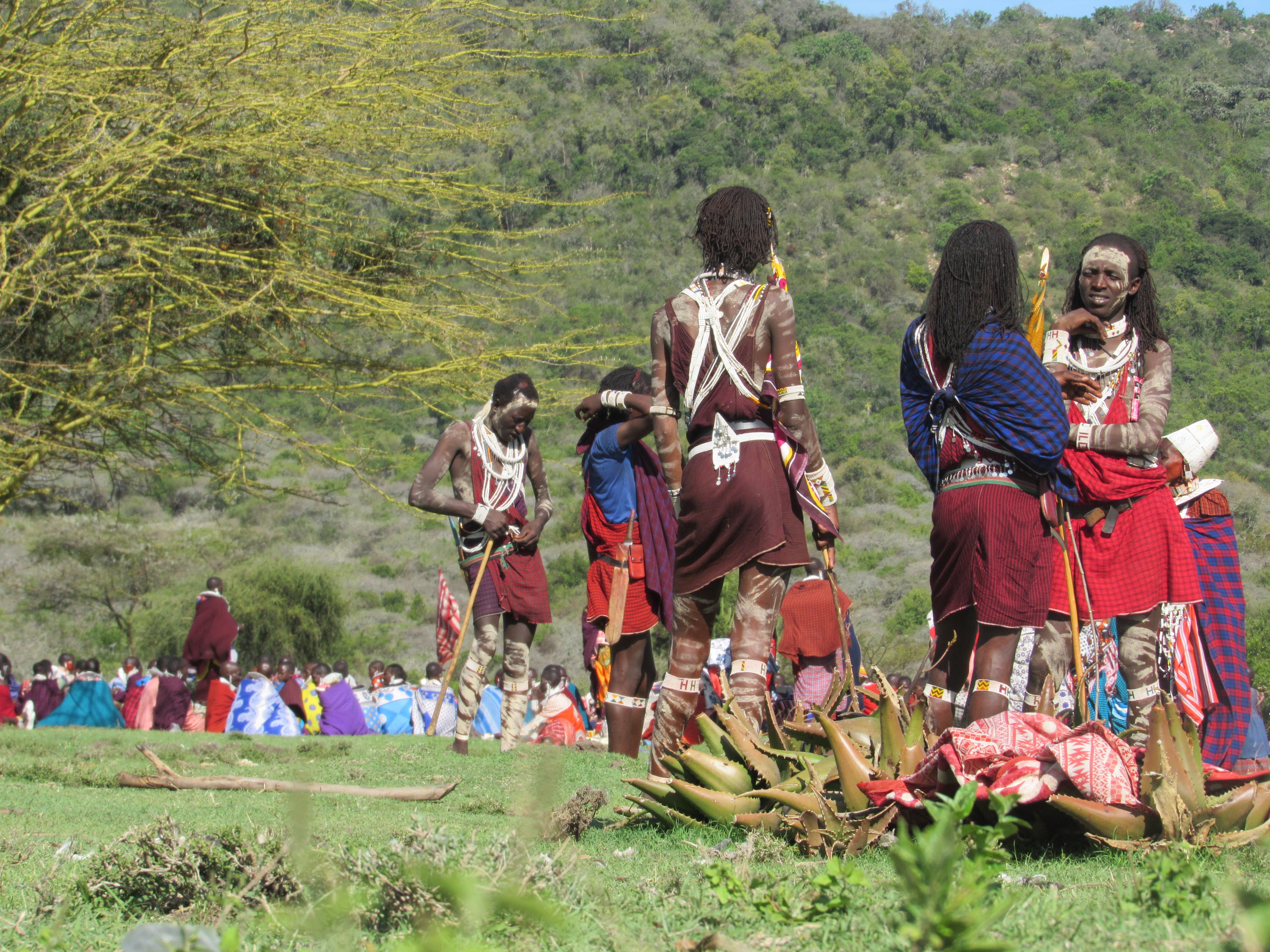 Rozalia Foundation