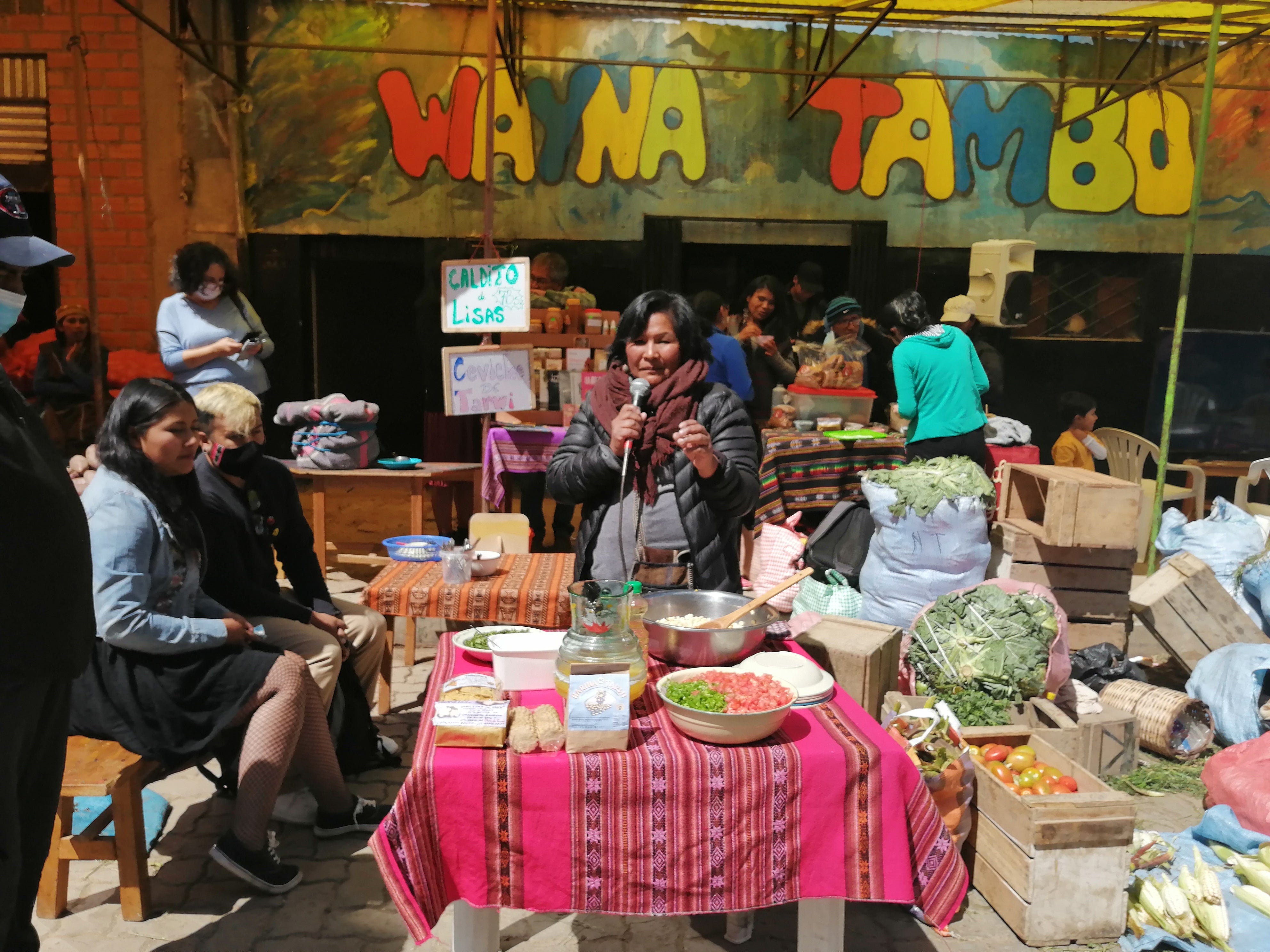 Wayna Tambo Foundation – Diversity Network