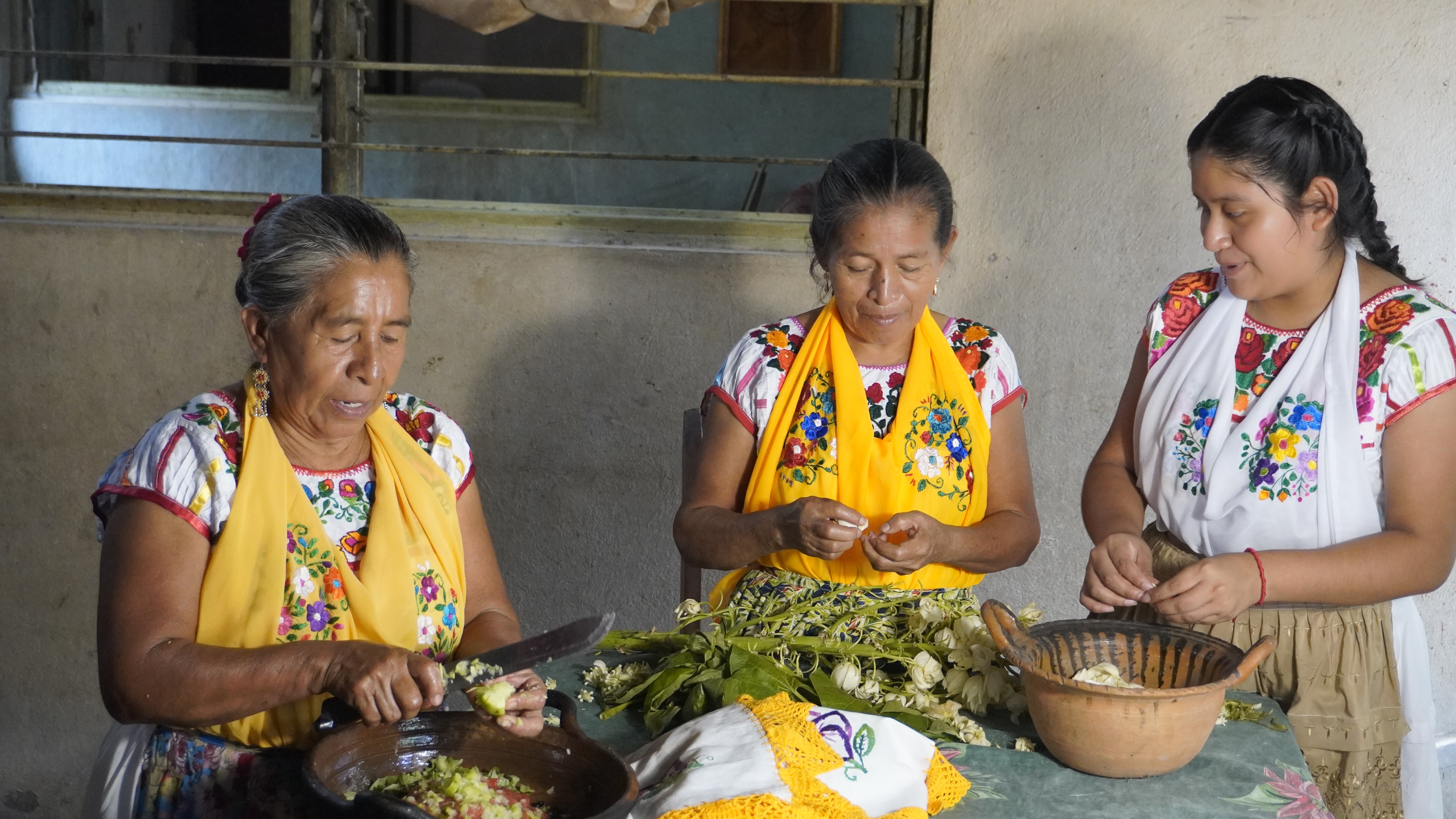 Youth Leading the Way: Cultural Safeguarding and Knowledge Transfer