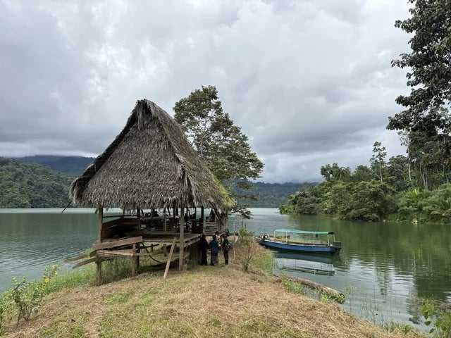 A thatched wooden shelter and boats on the shore, surrounded by forest.
