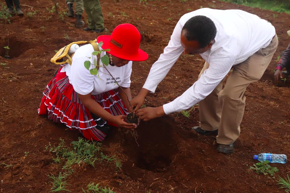 Indigenous Food Systems & Agroecology: Global Synergies