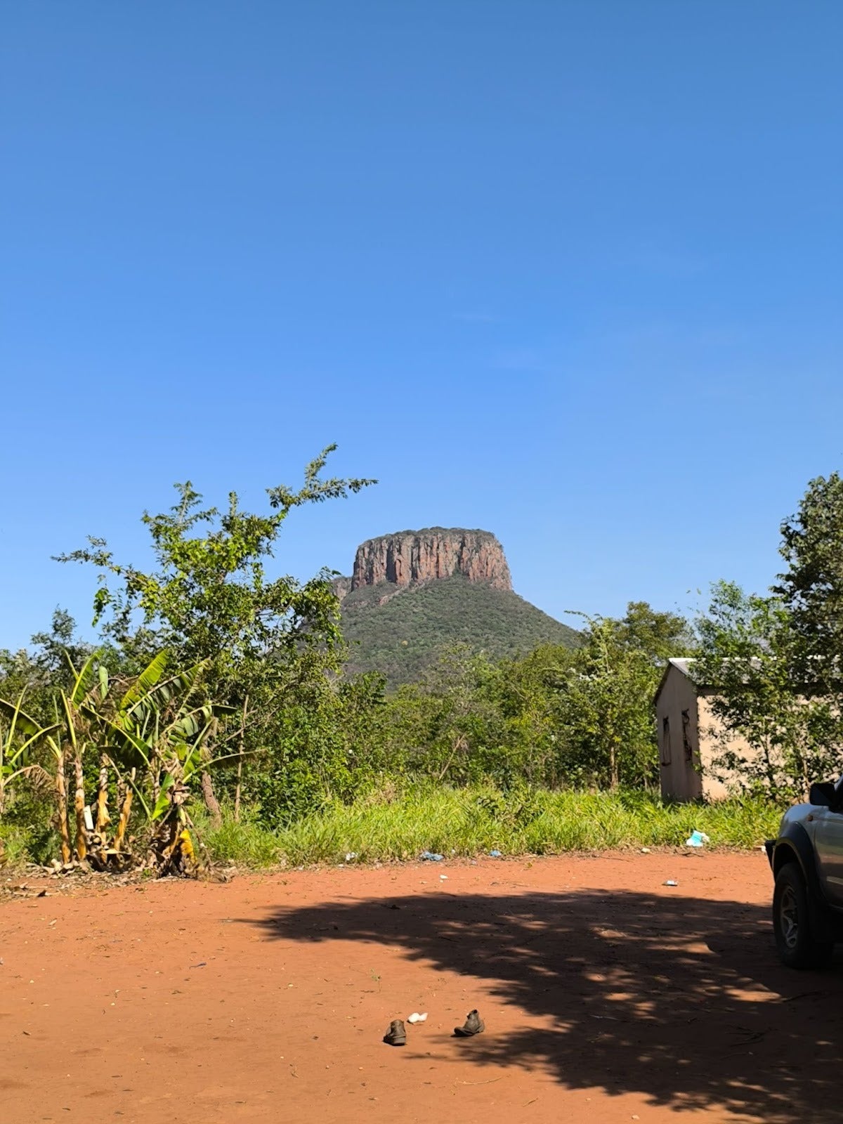 Paĩ Tavyterã Associations in Paraguay and Cultural Survival Denounce Violations of Indigenous Rights at the Universal Periodic Review