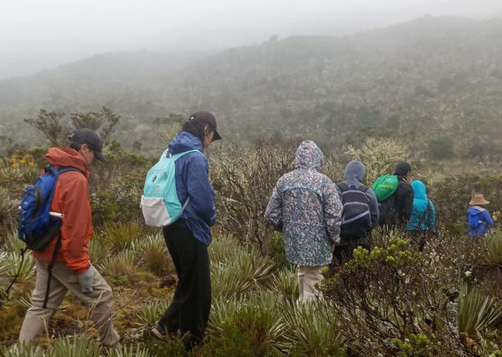 Reviving the Feminine Path: Three Indigenous Youth Fellows Safeguard Traditional Knowledge in Colombia, Costa Rica, and Ecuador