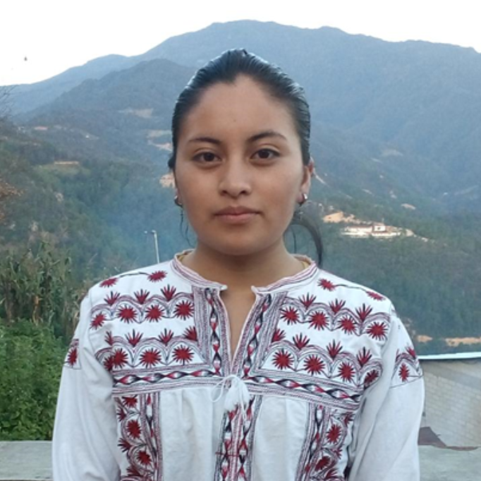 Plantas medicinales de Santa María Tlahuitoltepec Estrella Jhonaí