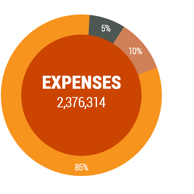 Expenses pie chart