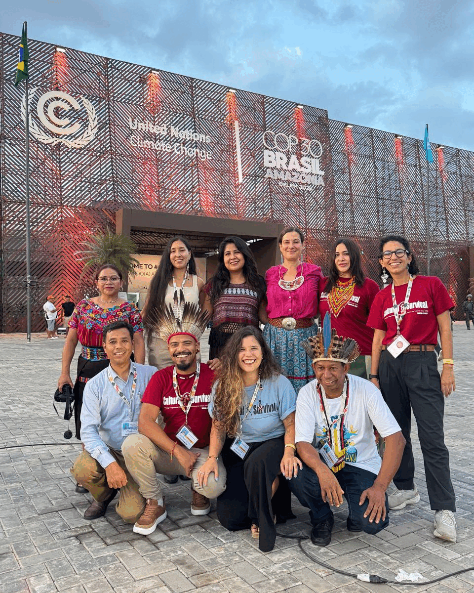 Reporting on week one at COP30! | Cultural Survival