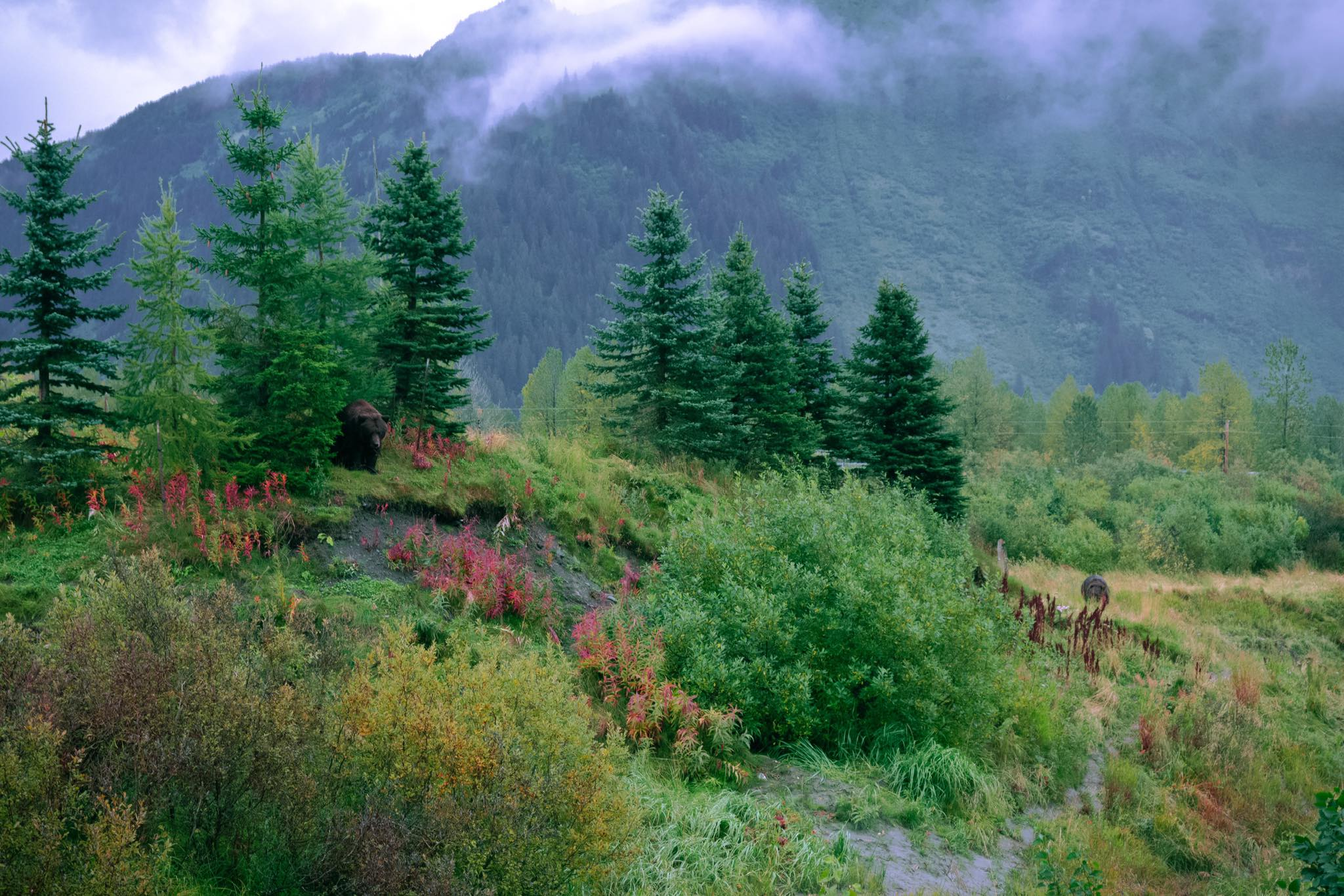 Tribal Nations Gather in Alaska to Discuss Climate Change Solutions ...