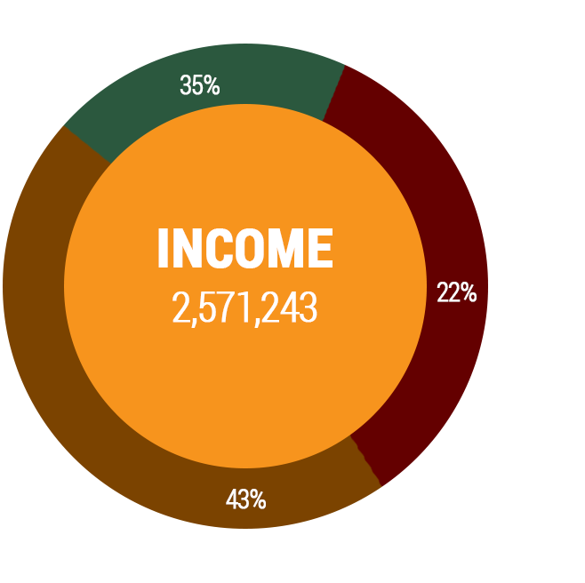 Income pie chart