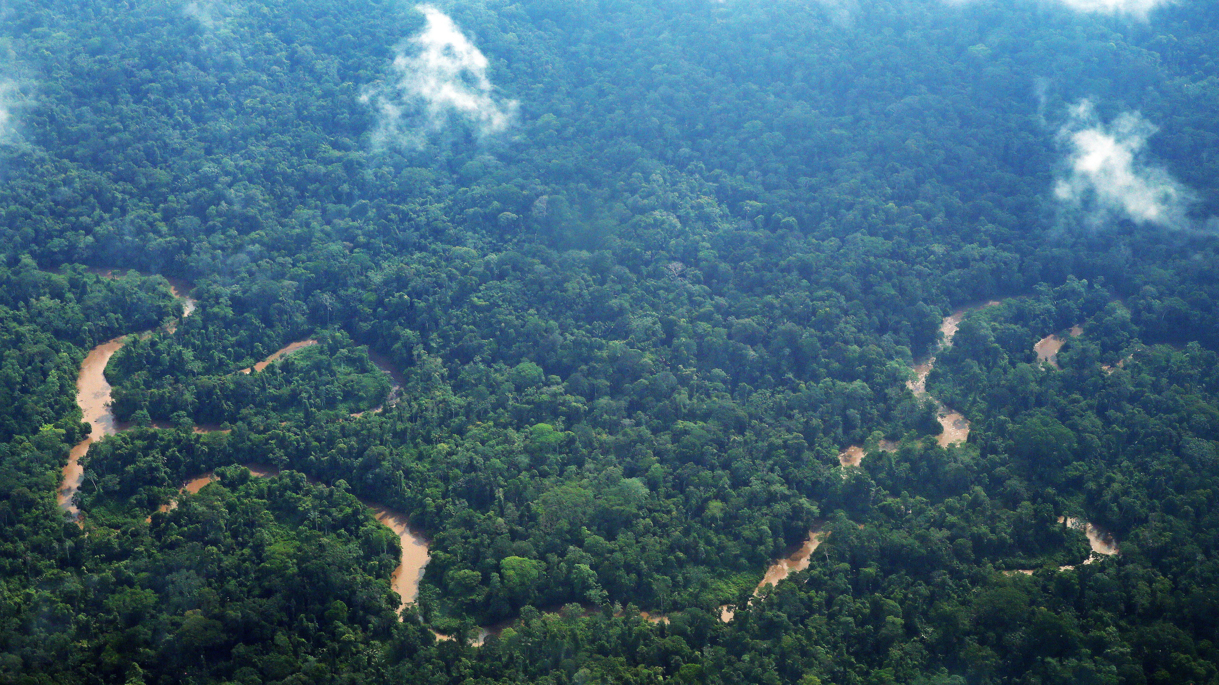 The bioculturally rich territory of the Indigenous Sápara people in the Ecuadorian Amazon.   Photo  Gleb Raygorodetsky