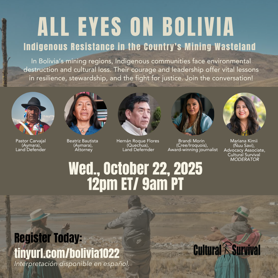 All Eyes on Bolivia: Environmental Devastation and Human Rights Abuses ...