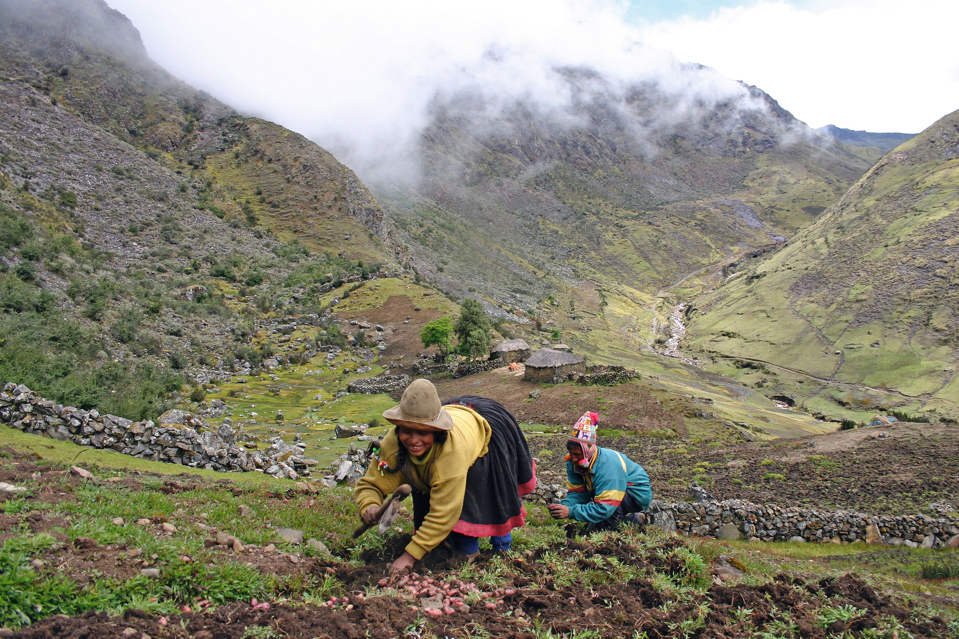 Q’eros potato farmers work the high slopes of the Andes of Peru, above the village of Cochomoqo.  Photo © Toby McLeod