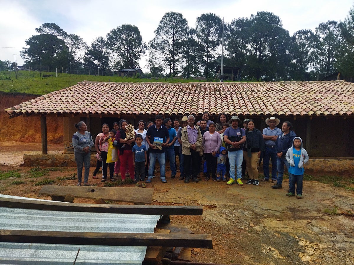 Llano de Heno community in Malinaltepec