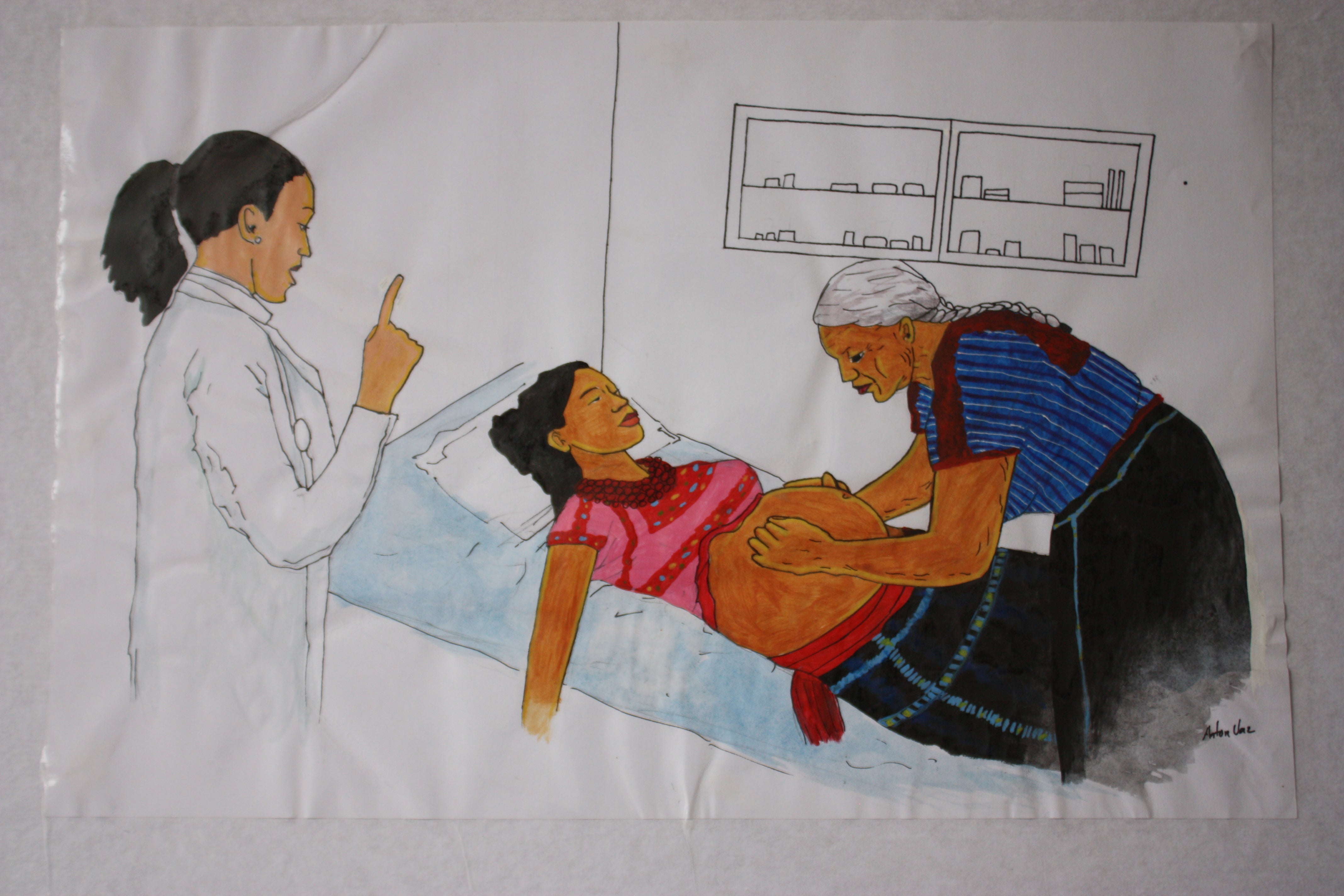 The Evolution of the Indigenous Determinants of Health Framework and the Struggle for Indigenous Midwifery Recognition