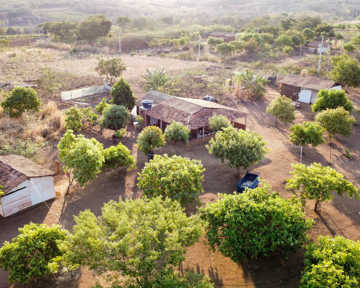 Cascavel Community