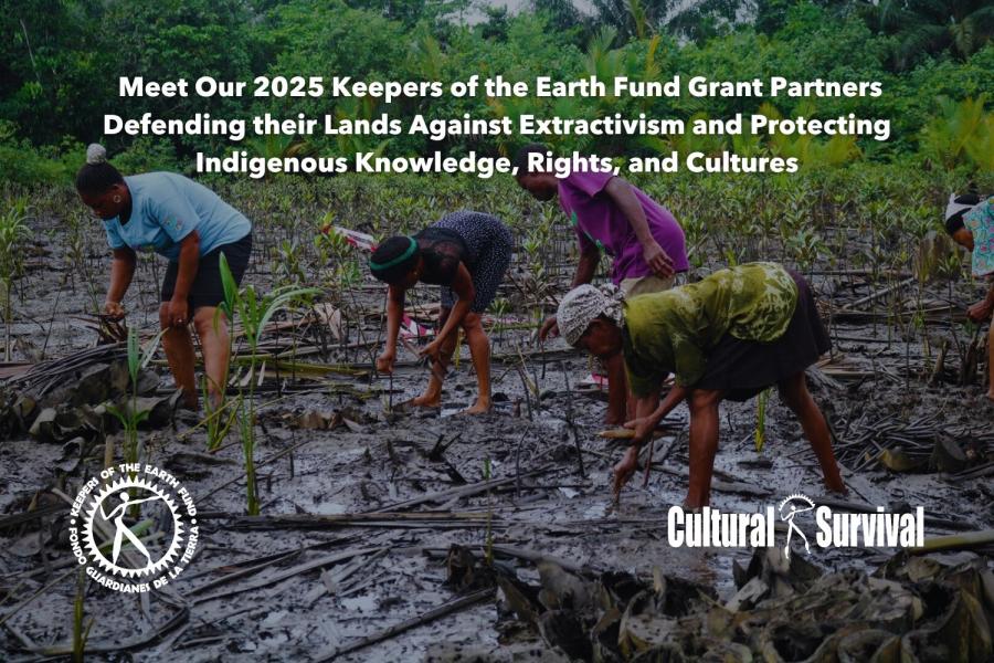 The Lack of Social Justice for Indigenous Peoples | Cultural Survival