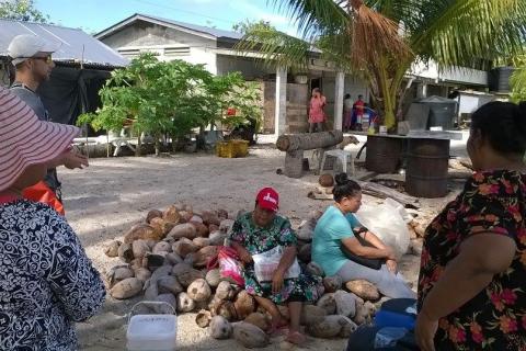 Marshall Islands | Cultural Survival