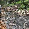 Peru: Exiga Limpieza de Derrames de Petróleo