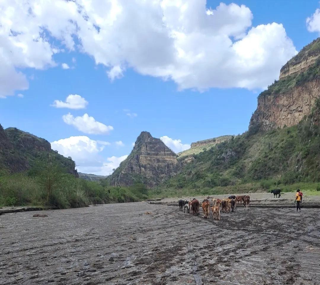 Rangelands at the Crossroads: Indigenous Pastoralists and the Fight for ...
