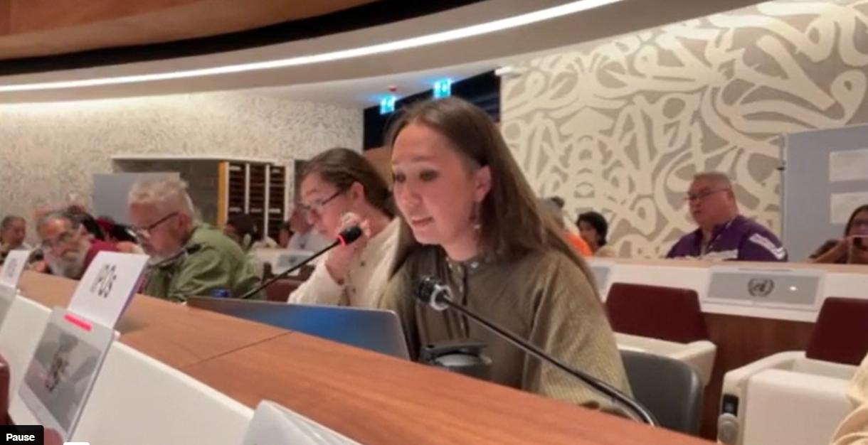 International Committee of Indigenous Peoples of Russia EMRIP Statement ...