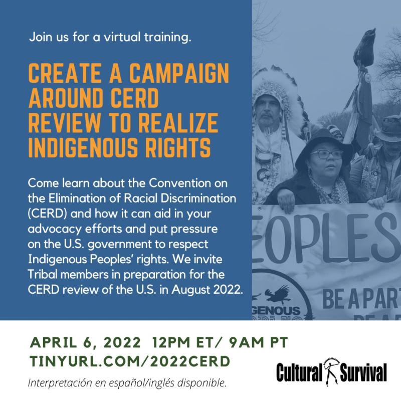 Create a Campaign Around CERD Review to Realize Indigenous Rights