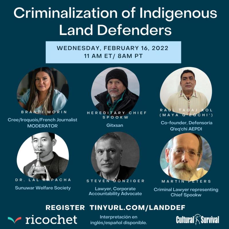 Criminalization of Indigenous Land Defenders